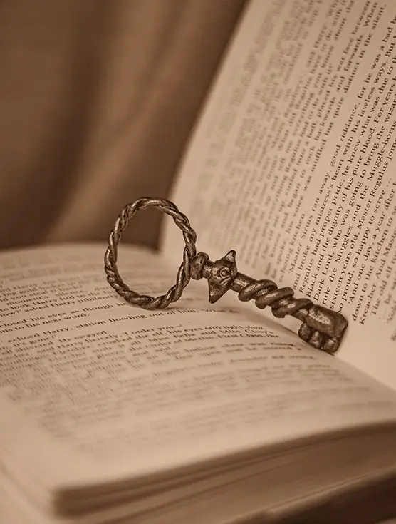 An antique key lies atop an open book, symbolizing hidden mysteries and thrilling adventures in a chilling narrative. The Novel View's Home Page Image