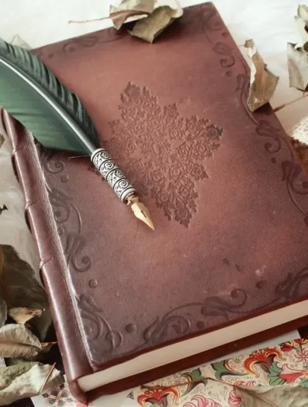 A vintage leather journal rests beside a delicate feather pen, symbolizing timeless writing and artistic expression. The Novel View's Resources page image.